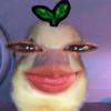 its_elenn