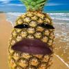 mudkip_fin0