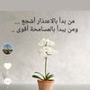 dyy76t87l57p