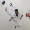 brintaykwando
