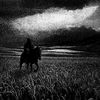 account2608