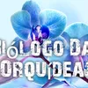 biologodasorquideas