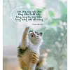 cat.bui.cuc.i1