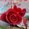 warda1626181