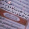 noureenomar1