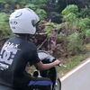 tegaraliframadhan1
