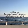 sltan_1432