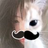 naevil_