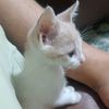 kevin_kvn29