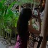 honguyenphiyen