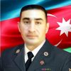 penahov_elmeddin