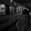 nis_200419