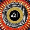 wafaamahmoud4276