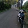 deffot3319