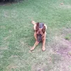 matiasferez425