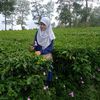 rafifawonderwomengirls