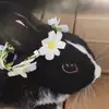 sammy_chaka_tj