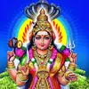 vel.muruga8534