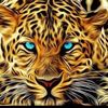 khaled.oran34