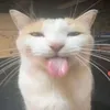 sukma_cok