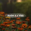 assim.e.a.vida