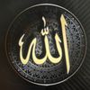_aliman009