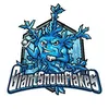 giantsnowflakes