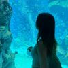 luv.light_blue