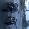 laiskin_roxi