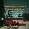 shahla9991