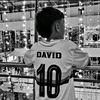 davidvillerok
