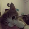 jskzz_0101