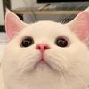heeym99