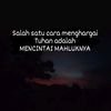 mas_day007