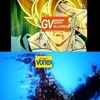 gatoiglesias04