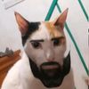 zero_tss