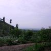 banyumili716