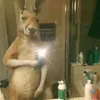caiovtfj5o3