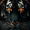 .macray10
