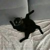 mrmou_