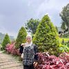 hfnncolection
