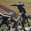 adiinawang05