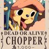 chopper.sirusakutub