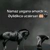 ibiwovv