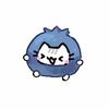 kywaal_kn