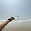 as_shihab01