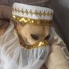 woofwo_of69