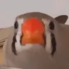 mynameistalavera