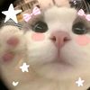 finn._4u