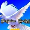 yan.lm.aung